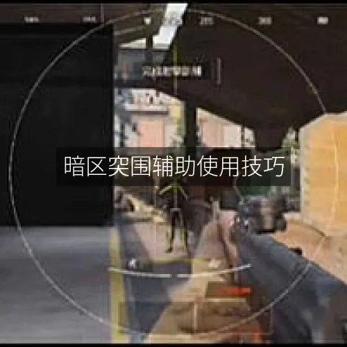 暗区突围辅助使用技巧